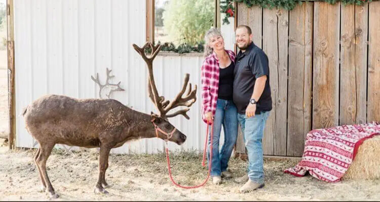 goldendale reindeer