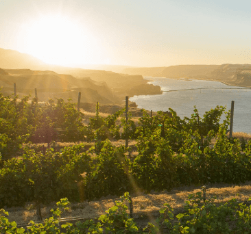 Screenshot 2026-03-05 142951