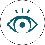 Vision Icon