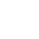 General Fund Icon