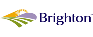Brighton Logo