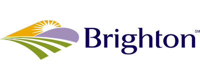 Brighton Logo