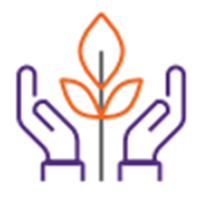 Learning and Training