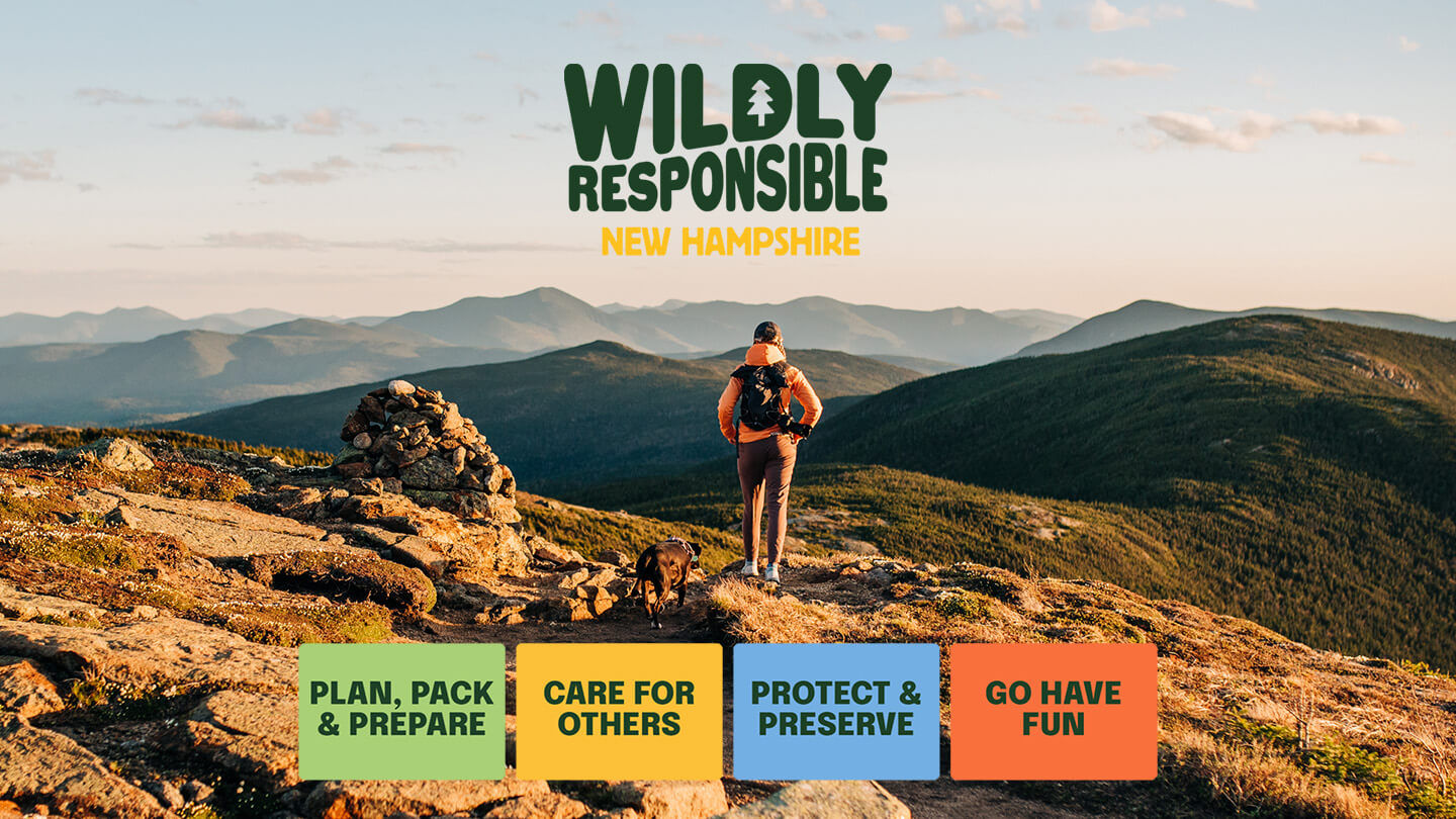Wildly Responsible, NH