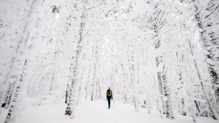 hiking in the White Mountains