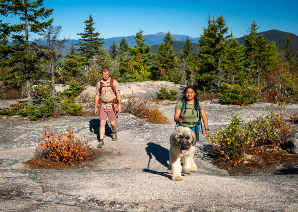 Hiking in Mt Washington Valley