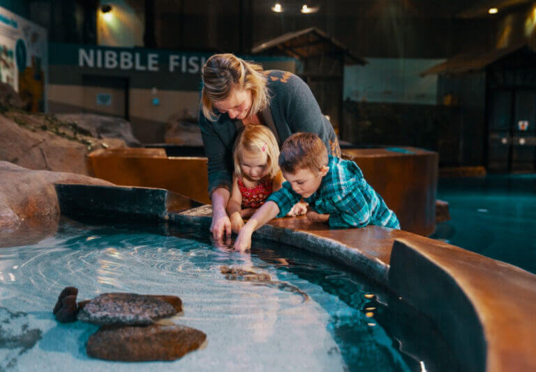 Things to do on a rainy day in North Conway and Mt Washington Valley, NH