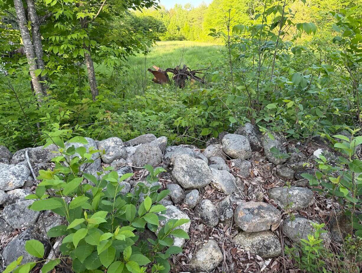 A stone wall lines a field in Chatham, NH