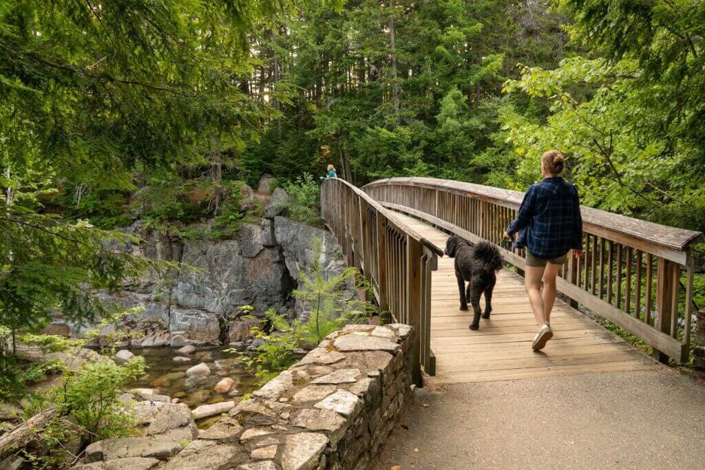 Hiking with dogs in the White Mountains