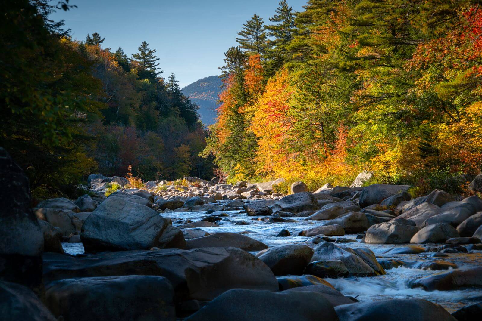 Swift River in the White Mountain National Forest in Fall. Chris Proulx Photo.