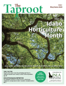 taproot may june 2024 cover