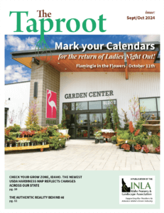 taproot sept oct 2024 cover