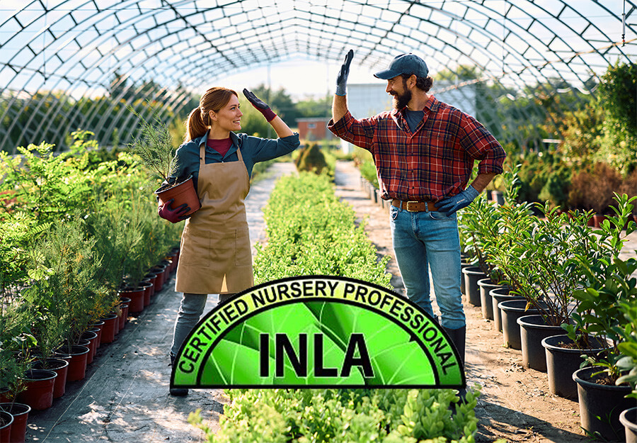 certified nursery professional certified nursery professional