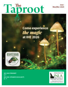 Nov Dec 25 Taproot cover