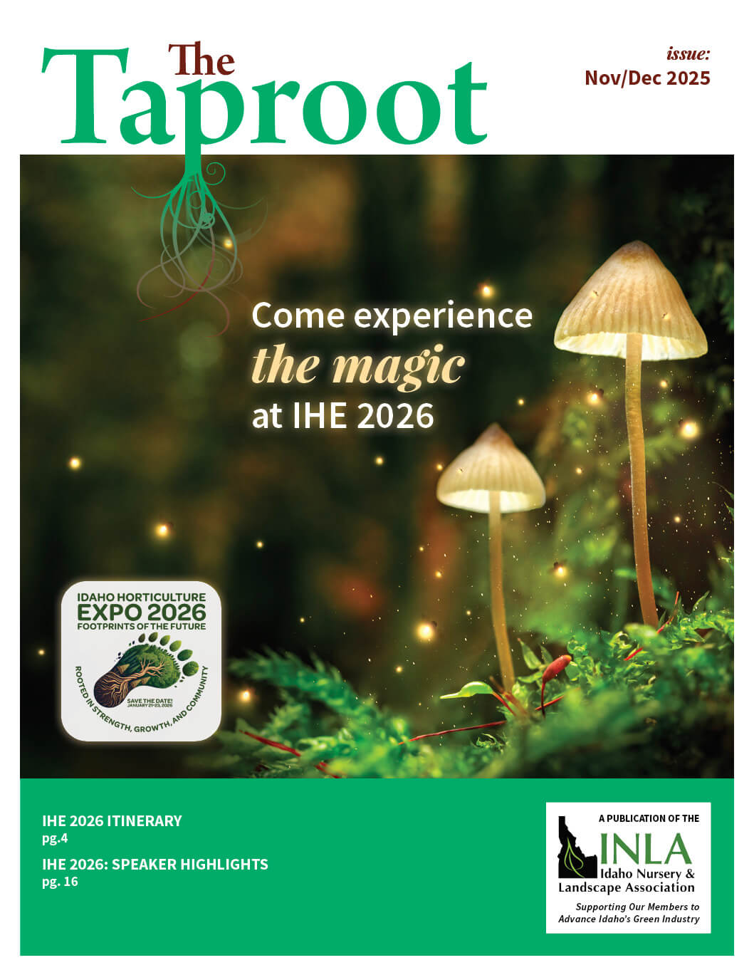 Nov Dec 25 Taproot cover