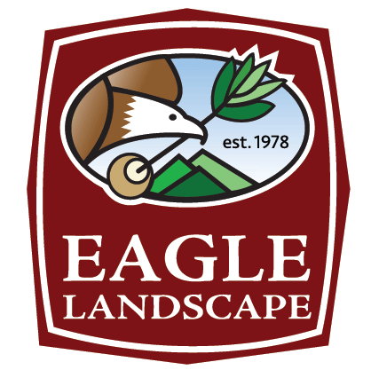 eagle landscape