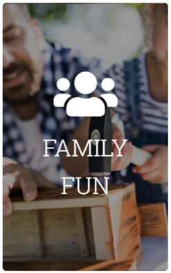 Family Family Fun image