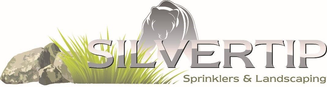 Silvertip