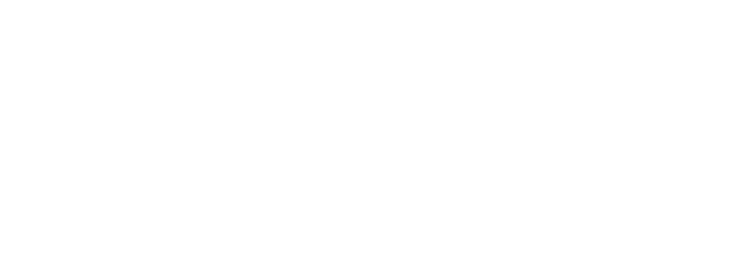 Ferguson Partners logo Ferguson Partners logo