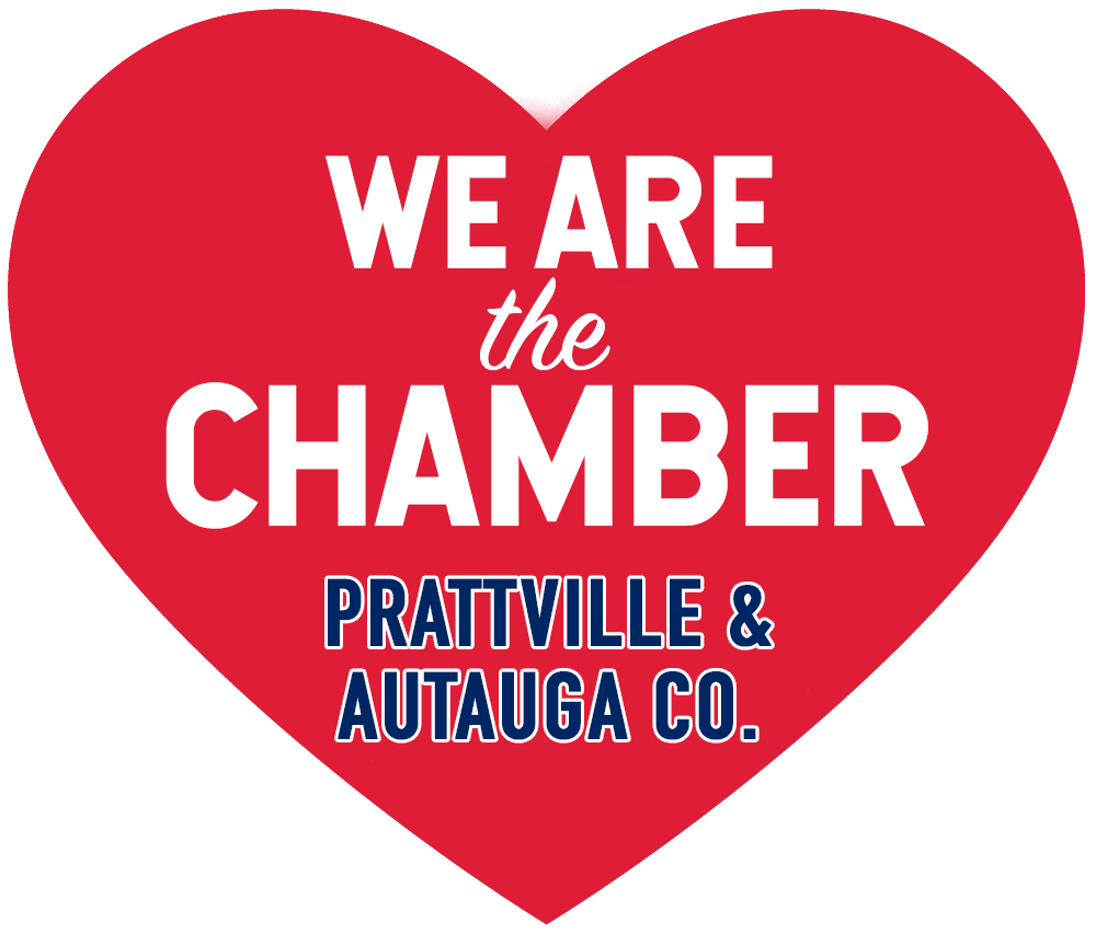 we-are-the-chamber-heart