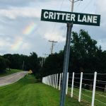 Critter Lane Petting Zoo