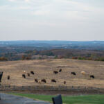 2024 Fall Golf Classic