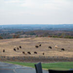 2024 Fall Golf Classic