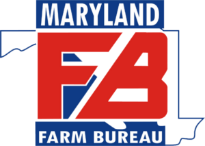MDFB Color Logo