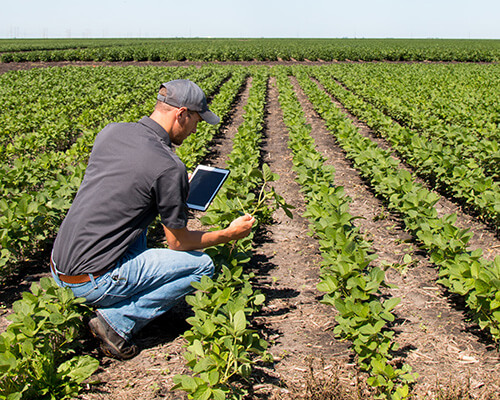 farmer using tablet out in field