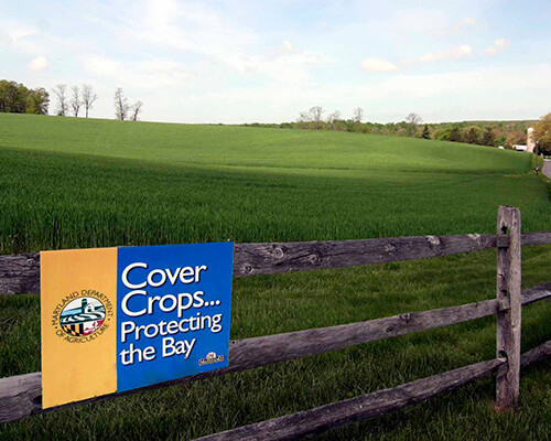 Cover crops sign