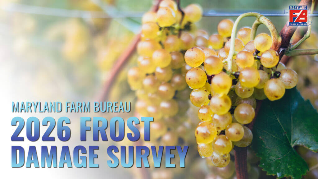 Frost Survey