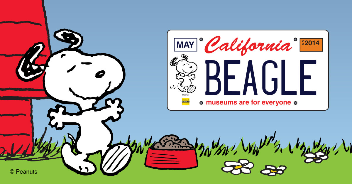 snoopy license plate graphic