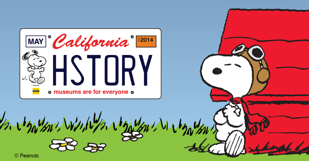 snoopy license plate graphic