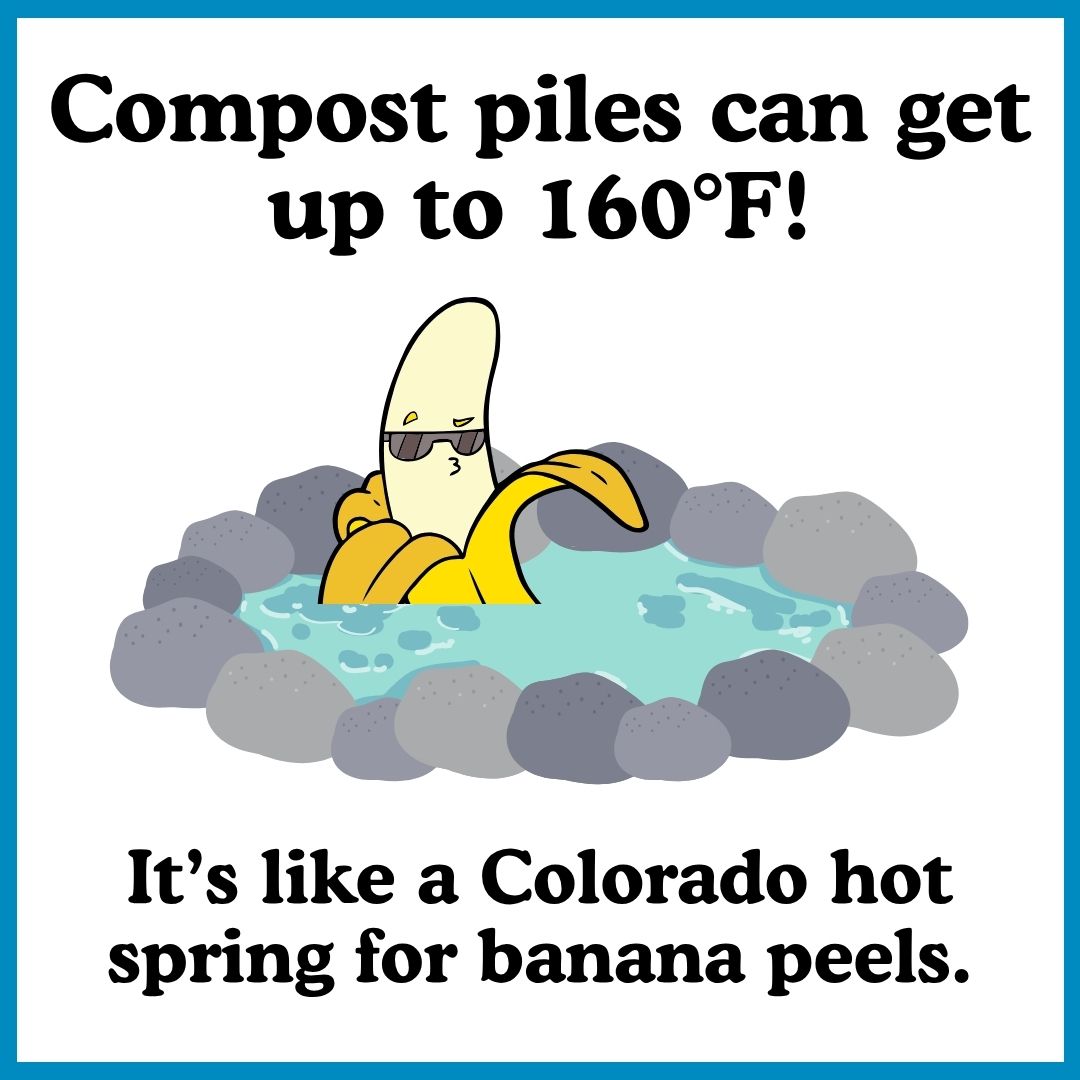 Compost piles can reach 160 degrees.