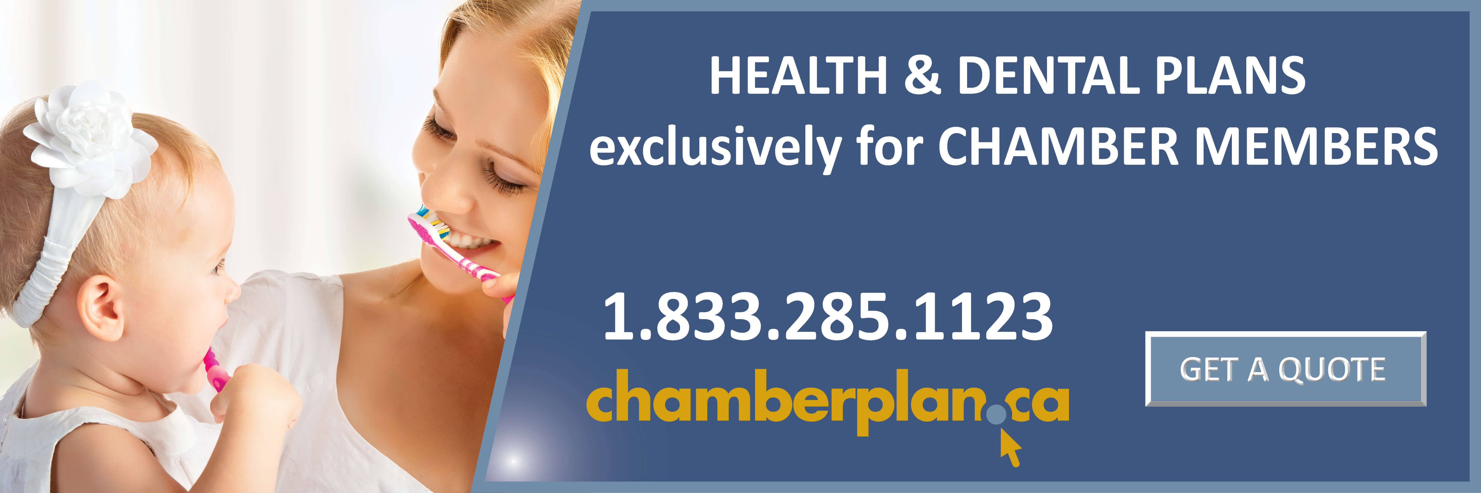 ChamberPlan-Banner-1200px-by-400px