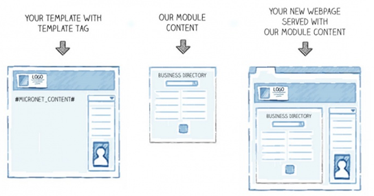 Database Template