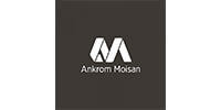 Ankron Moisan Logo