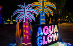 AquaGlow