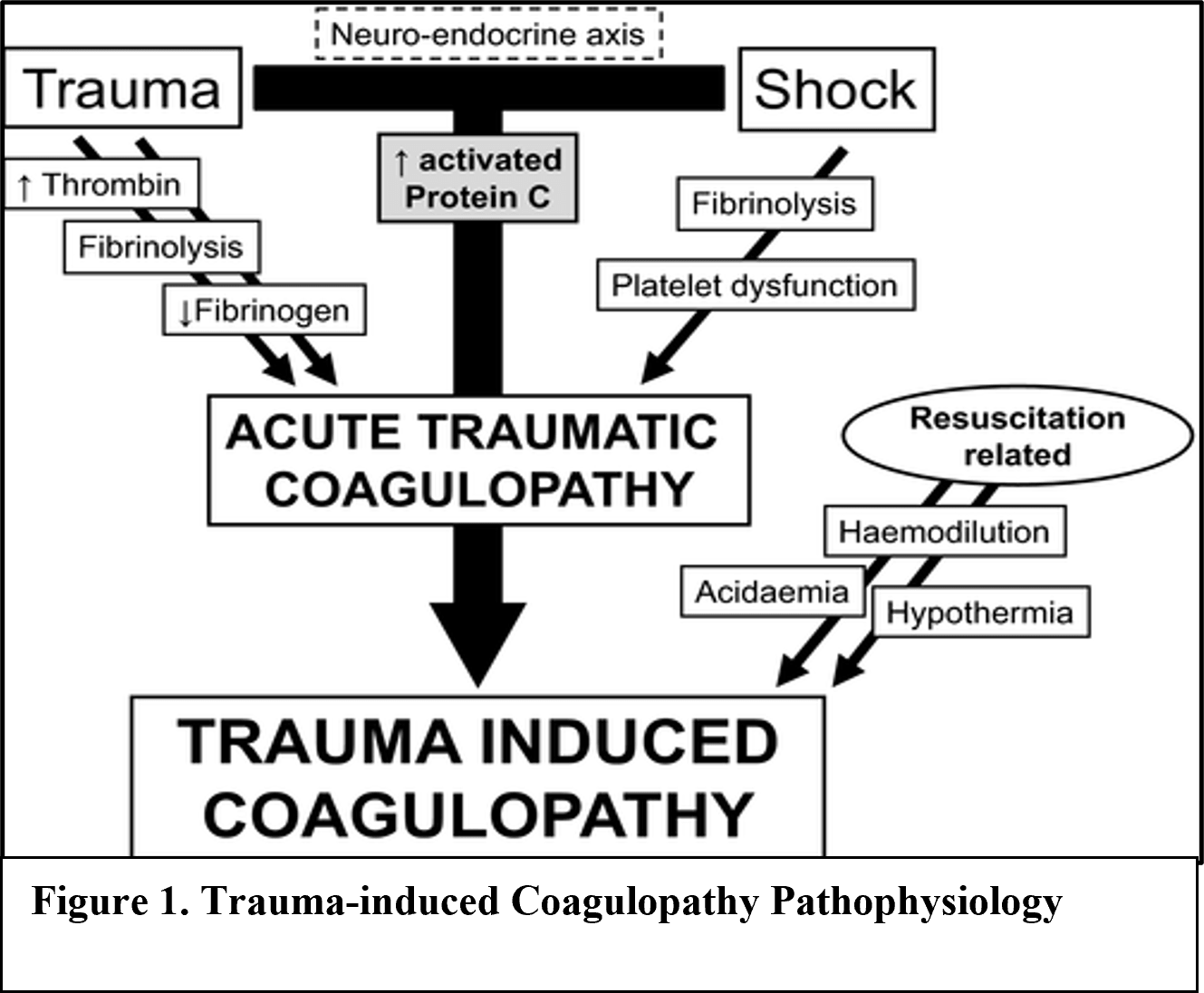 Trauma Induced Coagulopathy