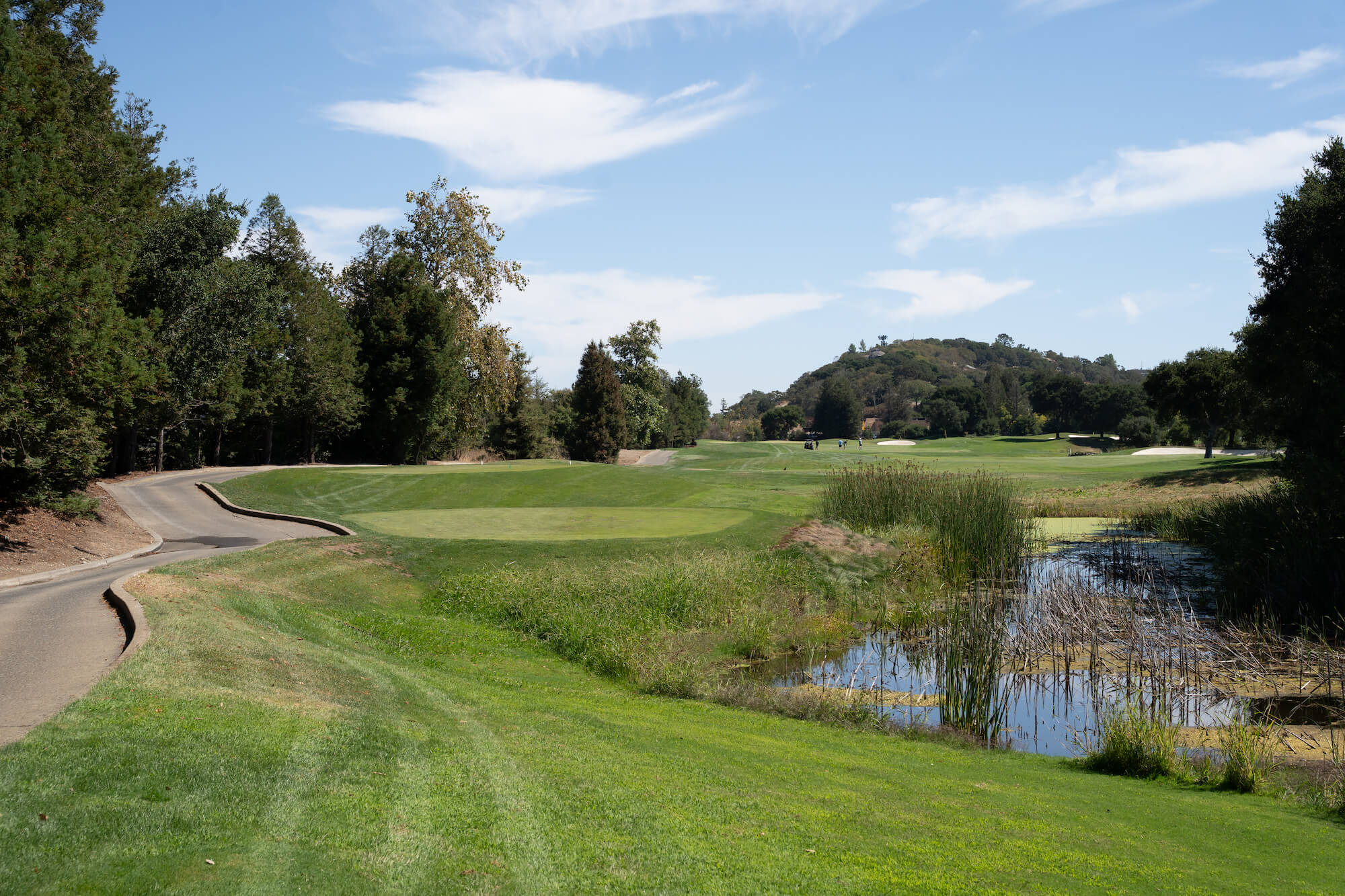 scaled_2026-08-24-Luau-Links-Marin-Builders-50th-Golf-Classic-Jason-Todd-Photo-00897
