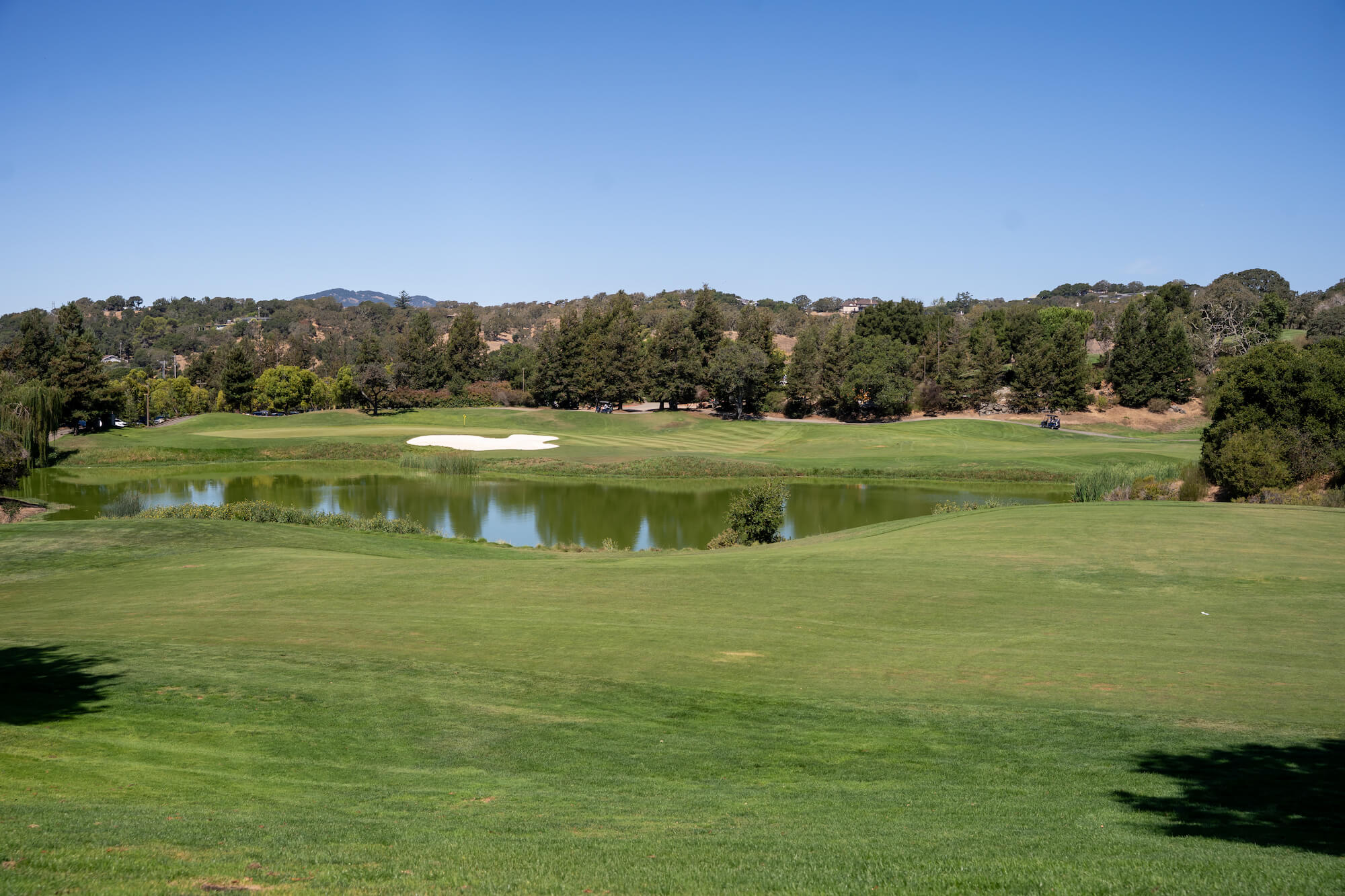 scaled_2026-08-24-Luau-Links-Marin-Builders-50th-Golf-Classic-Jason-Todd-Photo-00991
