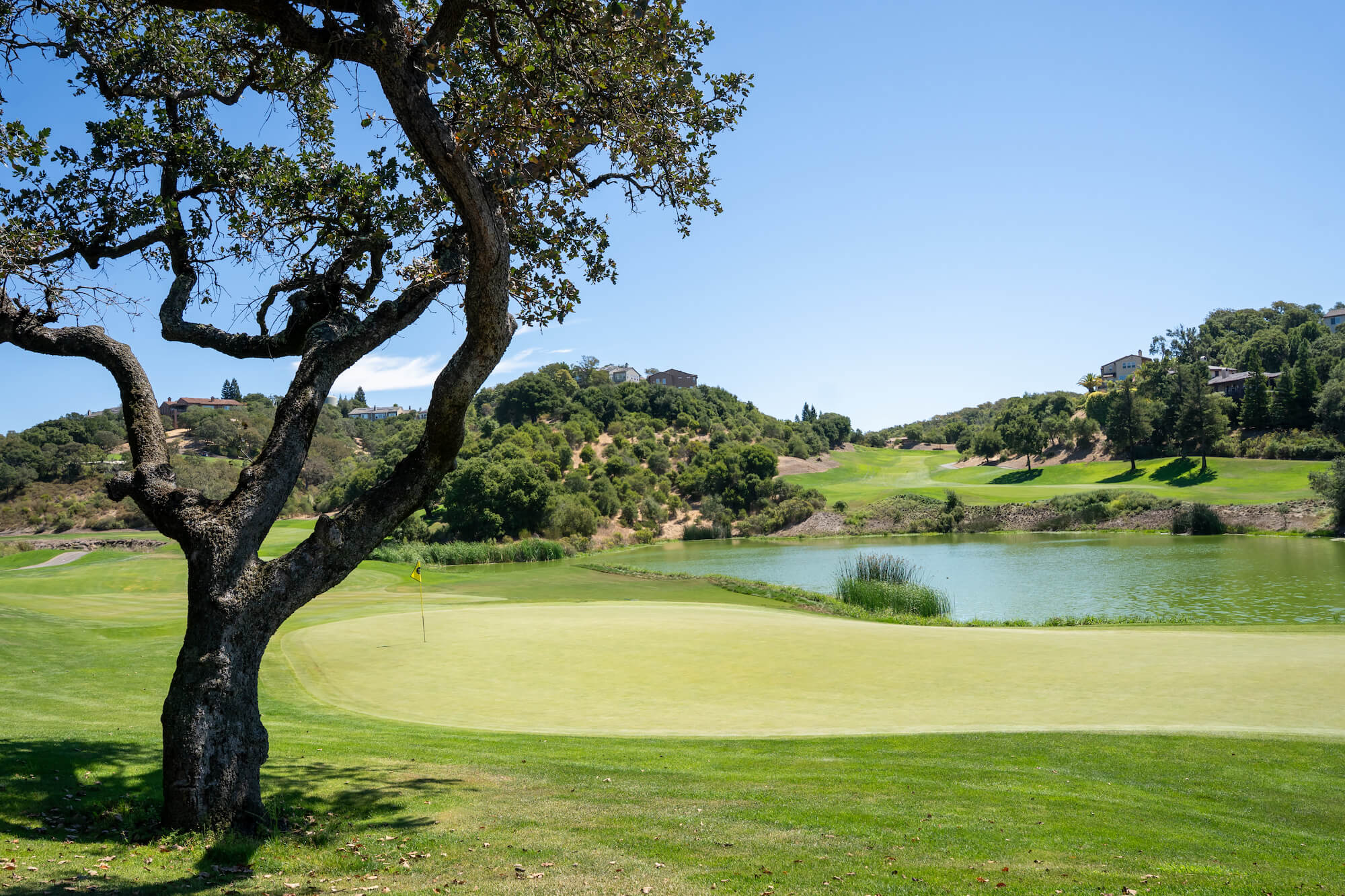 scaled_2026-08-24-Luau-Links-Marin-Builders-50th-Golf-Classic-Jason-Todd-Photo-01070