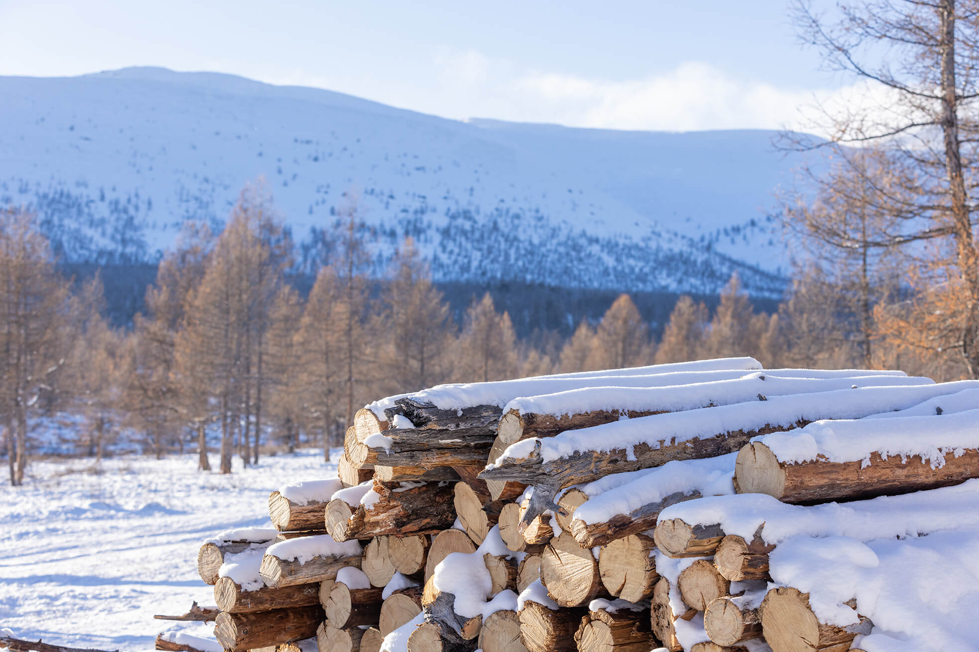 Carolina Loggers Association Safety Message