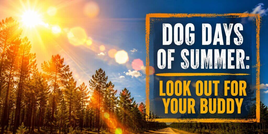 Dog days of summer