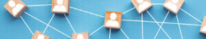blocks connected by web