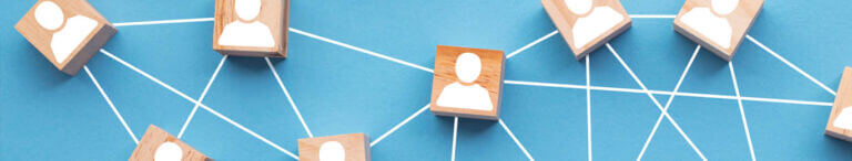 blocks connected by web