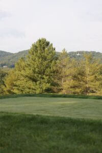 MCCCclassic-058 Large