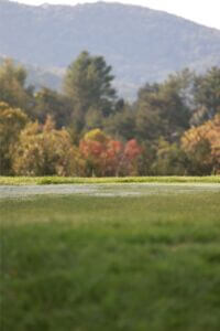 MCCCclassic-064 Large