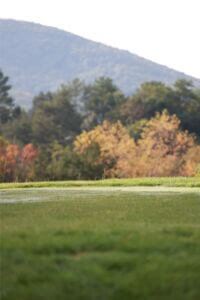 MCCCclassic-065 Large