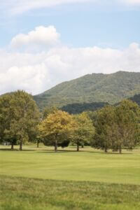 MCCCclassic-183 Large